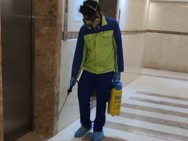The Role of Professional Pest Control During Dubai’s Cooler Season